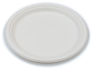 Biodegradable Sugarcane Plate (10in) x 500 E51352