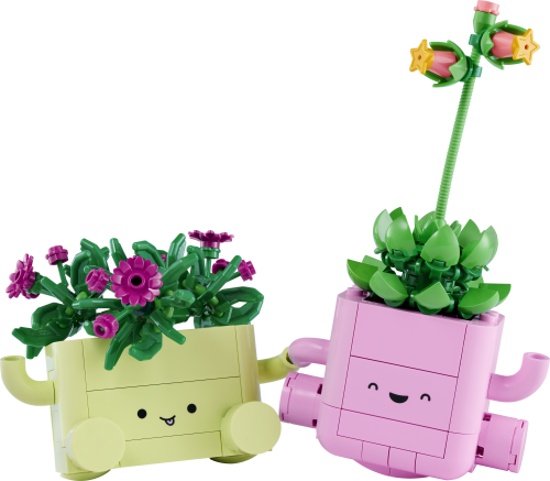 LEGO Botanicals Rocking Plants Flower Building Set 11506 -  - Fagan Toys