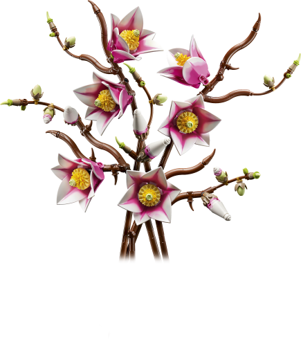LEGO® Botanicals Magnolia Branches Flower Decor 11510 - Lego - Fagan Toys