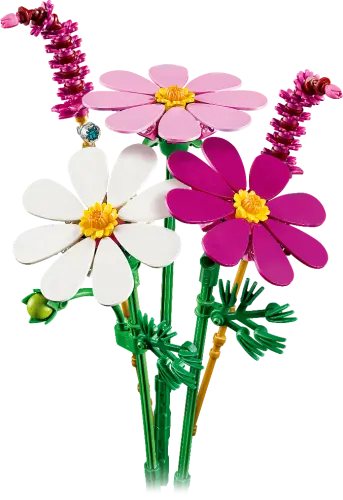 LEGO® Botanicals Cosmos Flowers Building Set 11514 -  - Fagan Toys