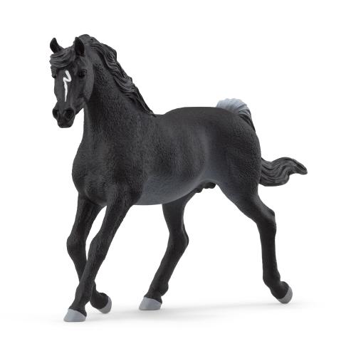 Schleich Horse Club Arab Stallion 13981