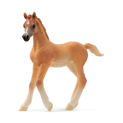 Schleich Horse Club Arab Foal 13984
