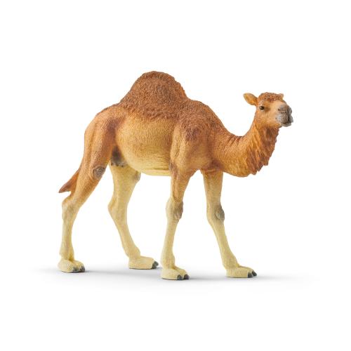 Schleich Wild Life Dromedary 14832