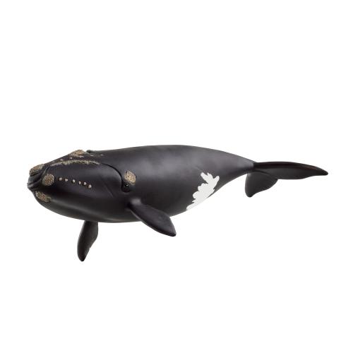 Schleich Wild Life North Atlantic Right Whale 14878