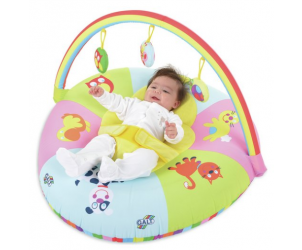 Galt Baby Playnest & Gym