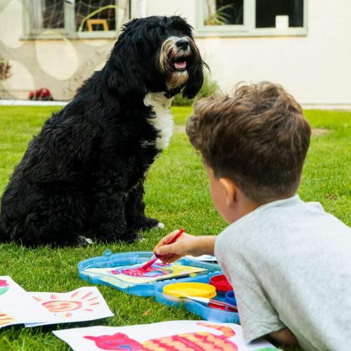 Crayola Paint-Sation On The Go - Crayola - Fagan Toys