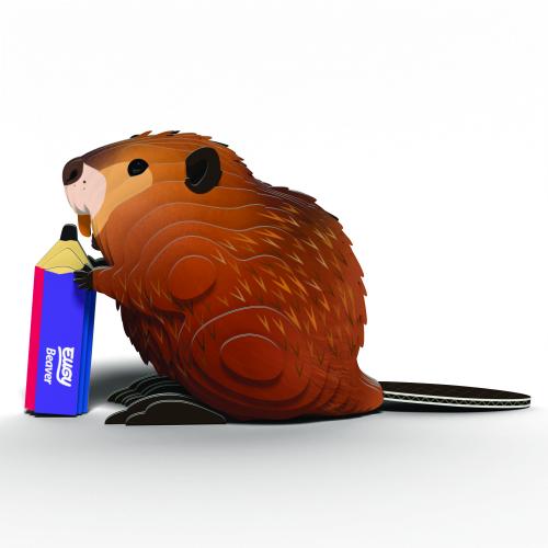 EUGY Beaver 3D Model Kit -  - Fagan Toys