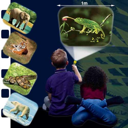 Brainstorm Animal Torch & Projector -  - Fagan Toys