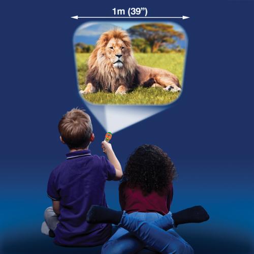 Brainstorm Most Deadly Creatures Torch & Projector -  - Fagan Toys