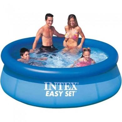 Intex Easy Set Pool 8' x 24?