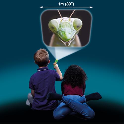 Brainstorm Creepy Crawly Torch & Projector -  - Fagan Toys