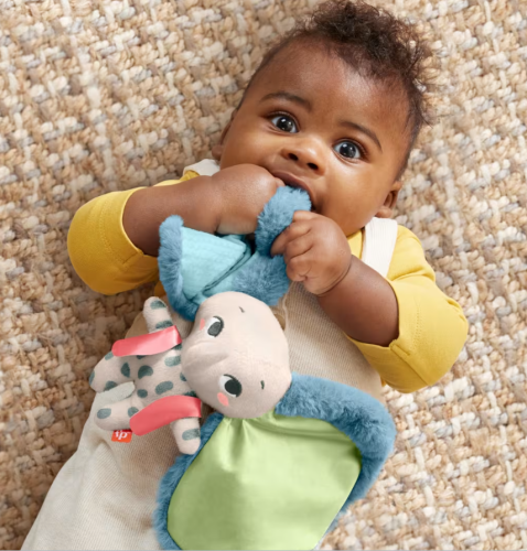 Fisher-Price Planet Friends All Ears Lovey