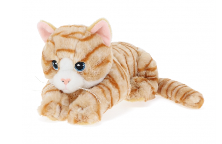 30CM Keeleco Kittens Assorted - Toymaster - Fagan Toys