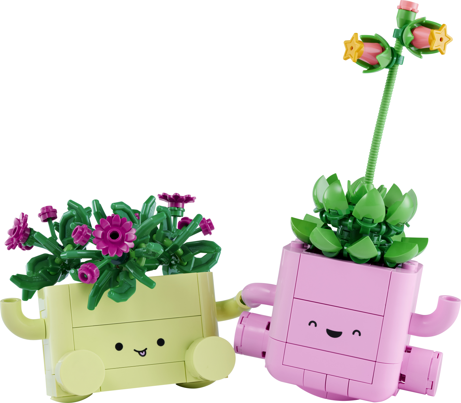 LEGO Botanicals Rocking Plants Flower Building Set 11506 -  - Fagan Toys