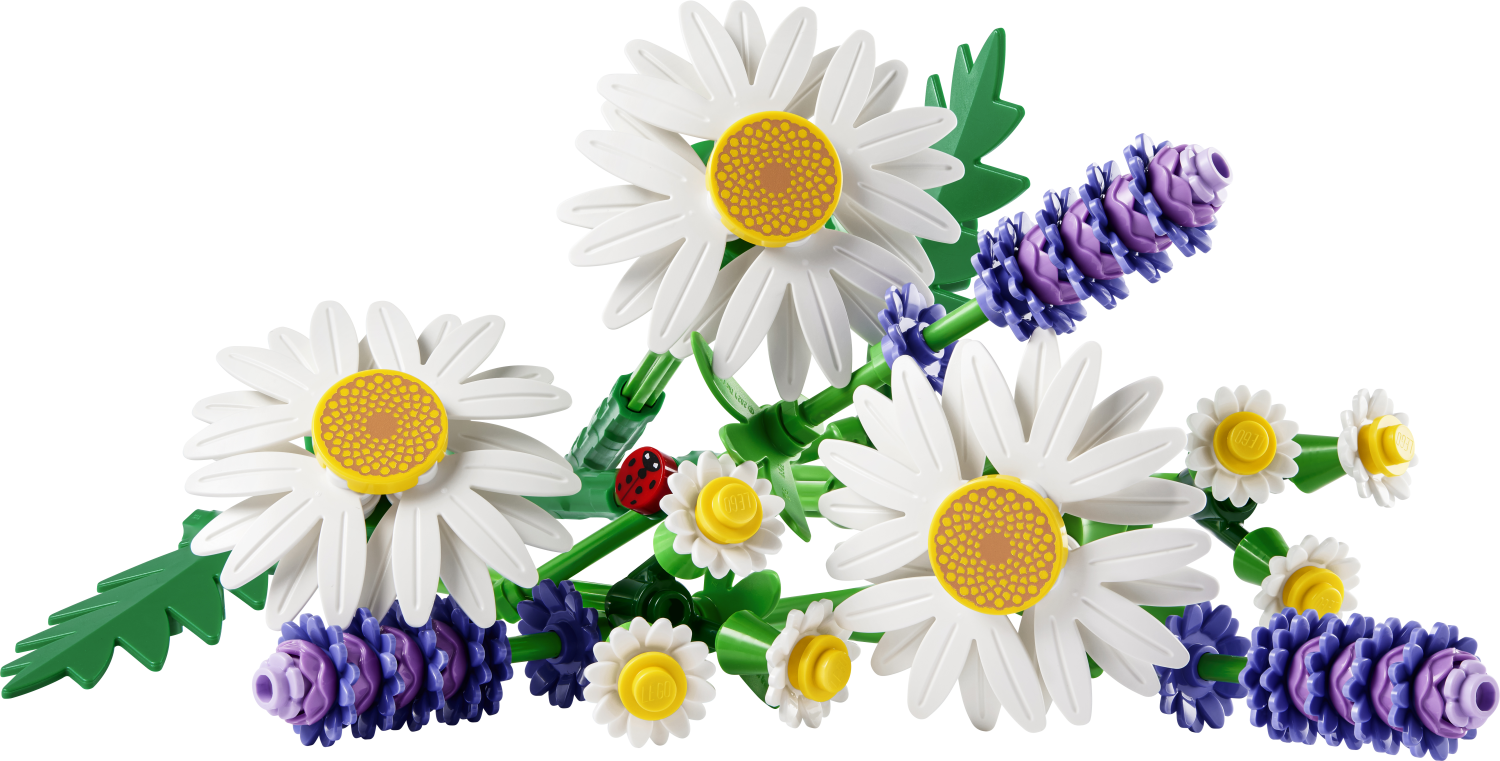 LEGO Botanicals Daisies Flower Decor 11508