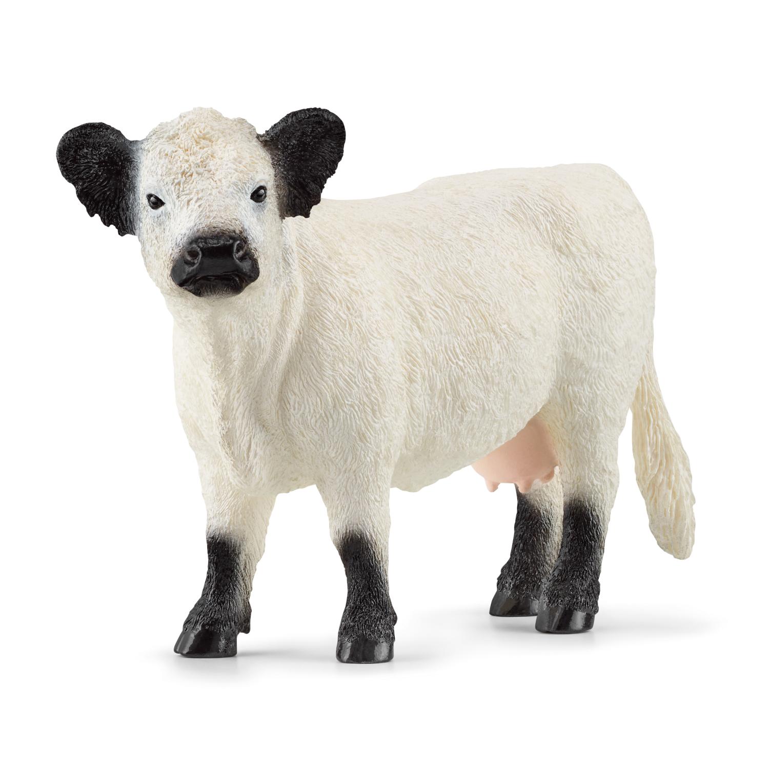 Schleich Farm World Galloway Cattle 13960 - Schleich - Fagan Toys