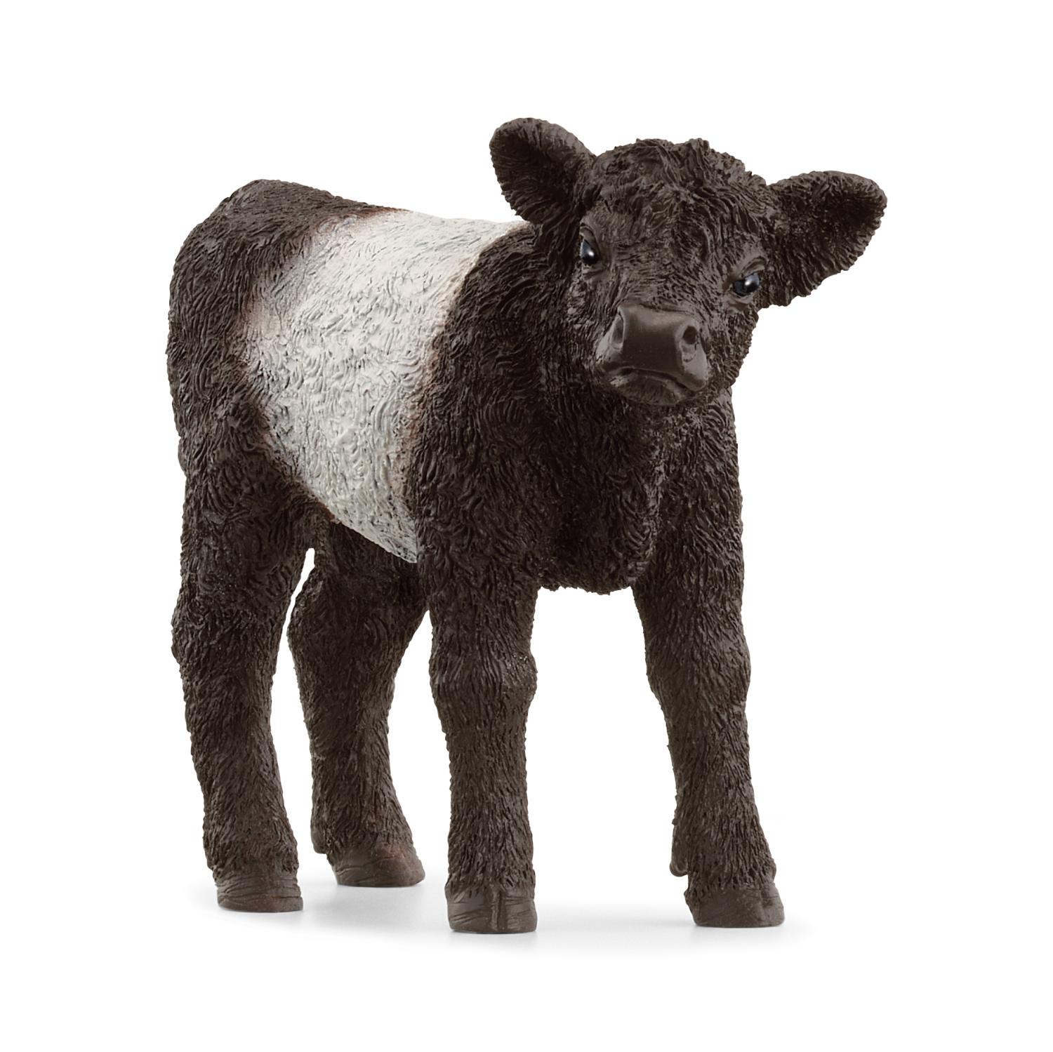 Schleich Farm World Galloway Calf 13969 - Schleich - Fagan Toys