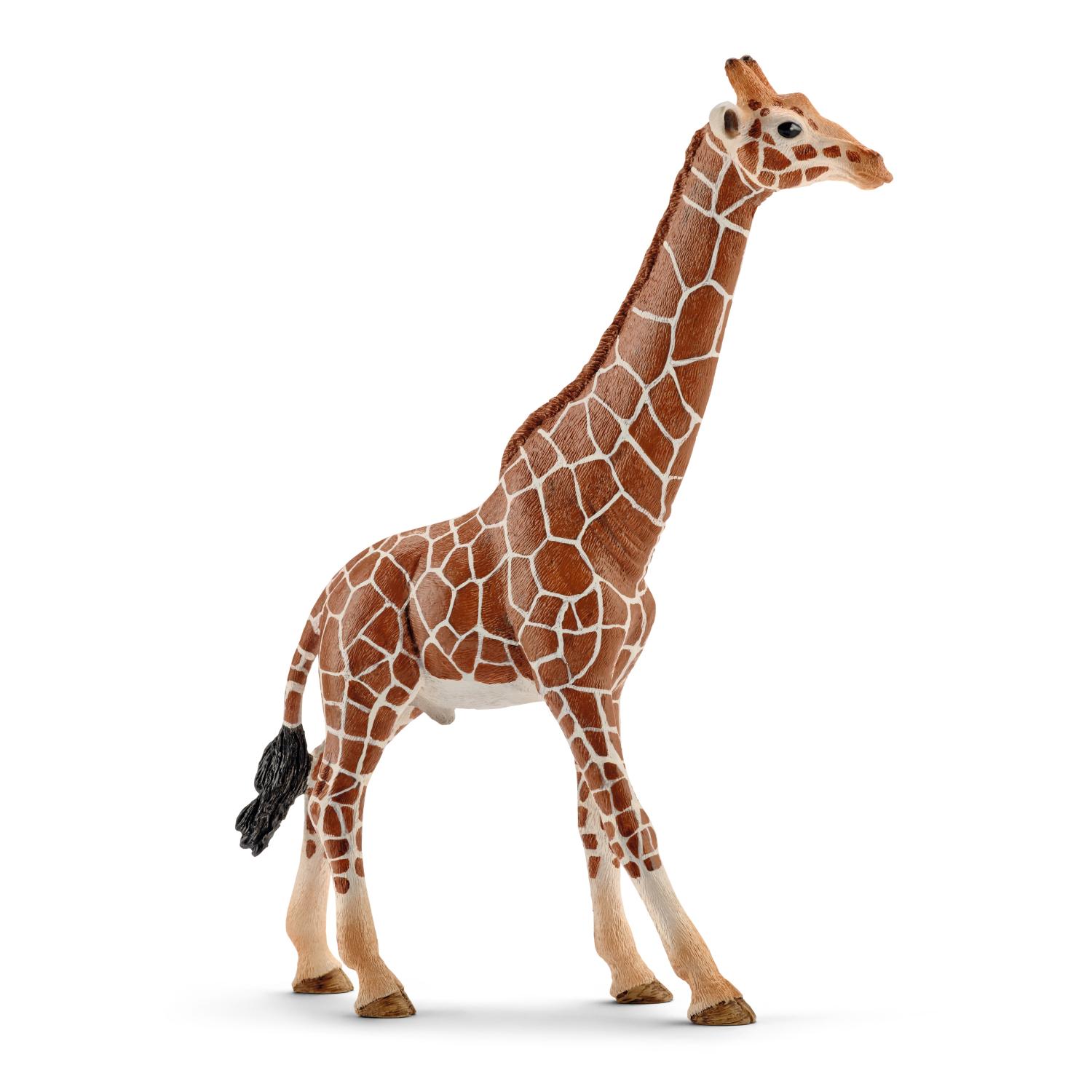 Schleich Wild Life Giraffe Male 14749 - Schleich - Fagan Toys