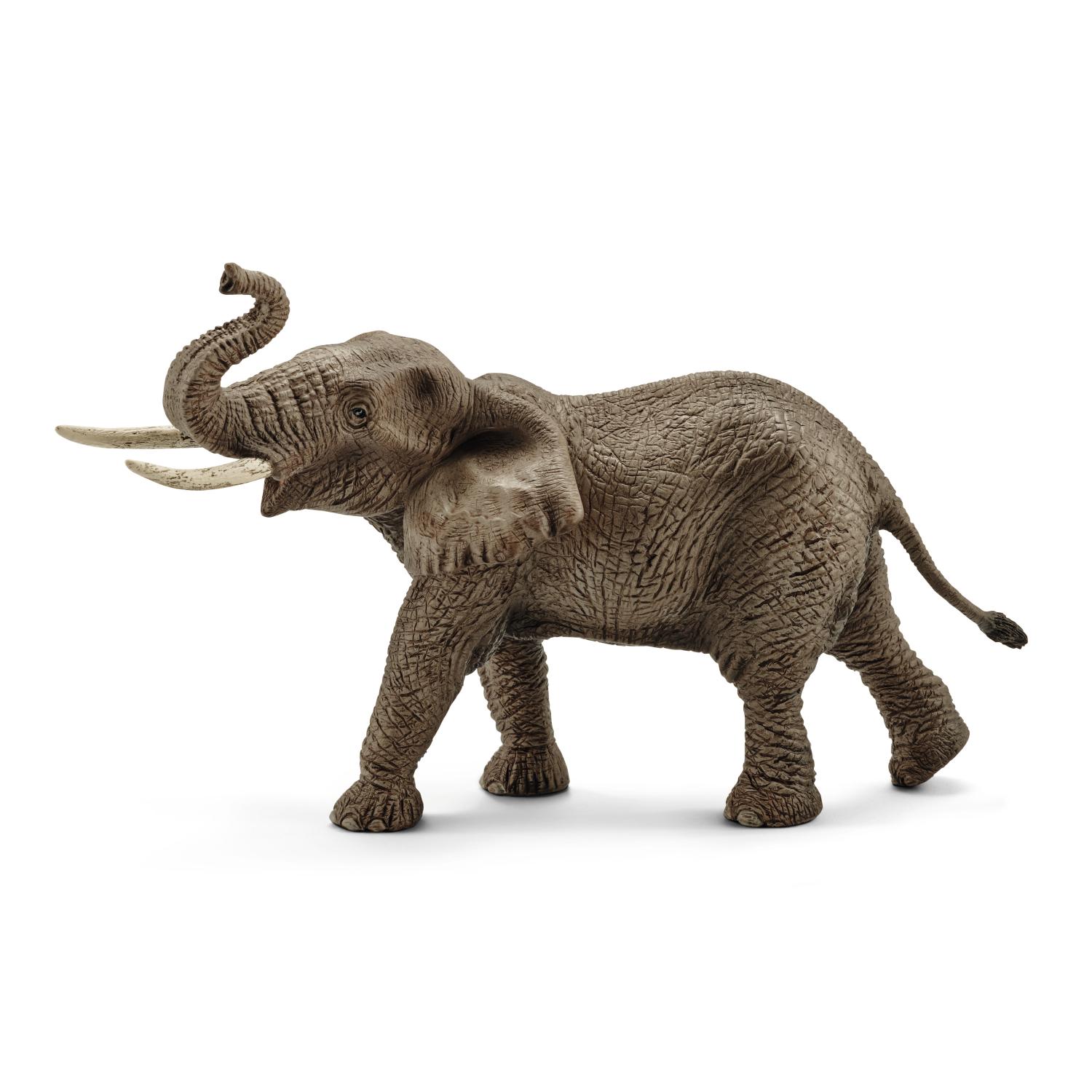 Schleich Wild Life African Elephant Male 14762 - Schleich - Fagan Toys
