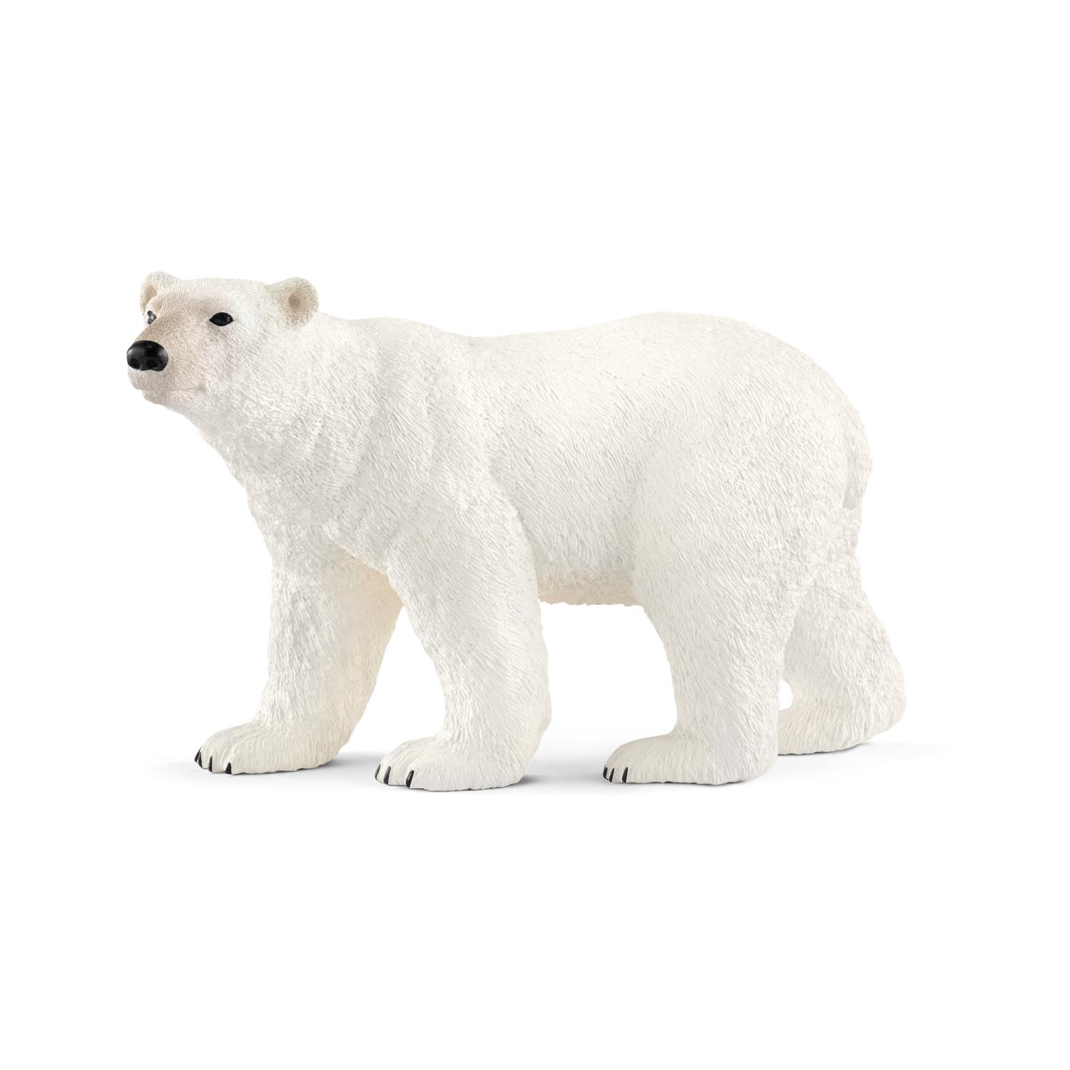 Schleich Wild Life Polar Bear 14800 - Schleich - Fagan Toys