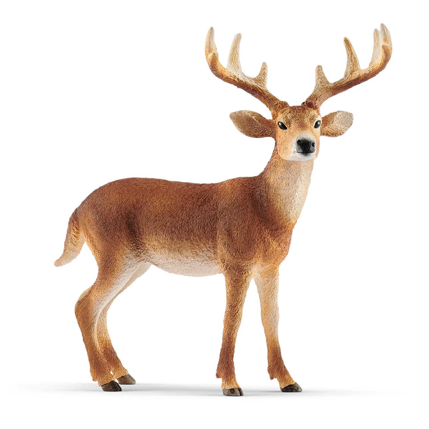 Schleich Wild Life White-Tailed Buck 14818 - Schleich - Fagan Toys
