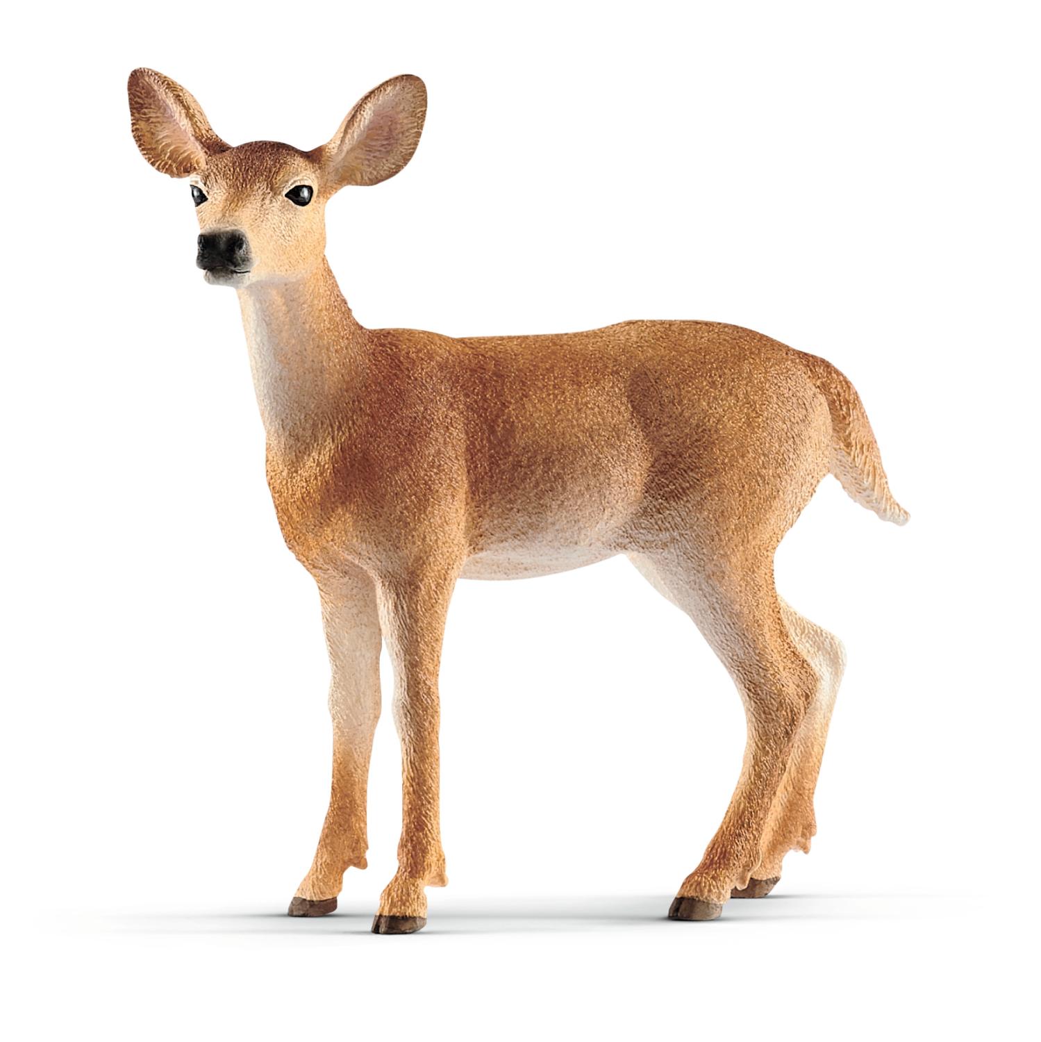 Schleich Wild Life White-Tailed Doe 14819 - Schleich - Fagan Toys