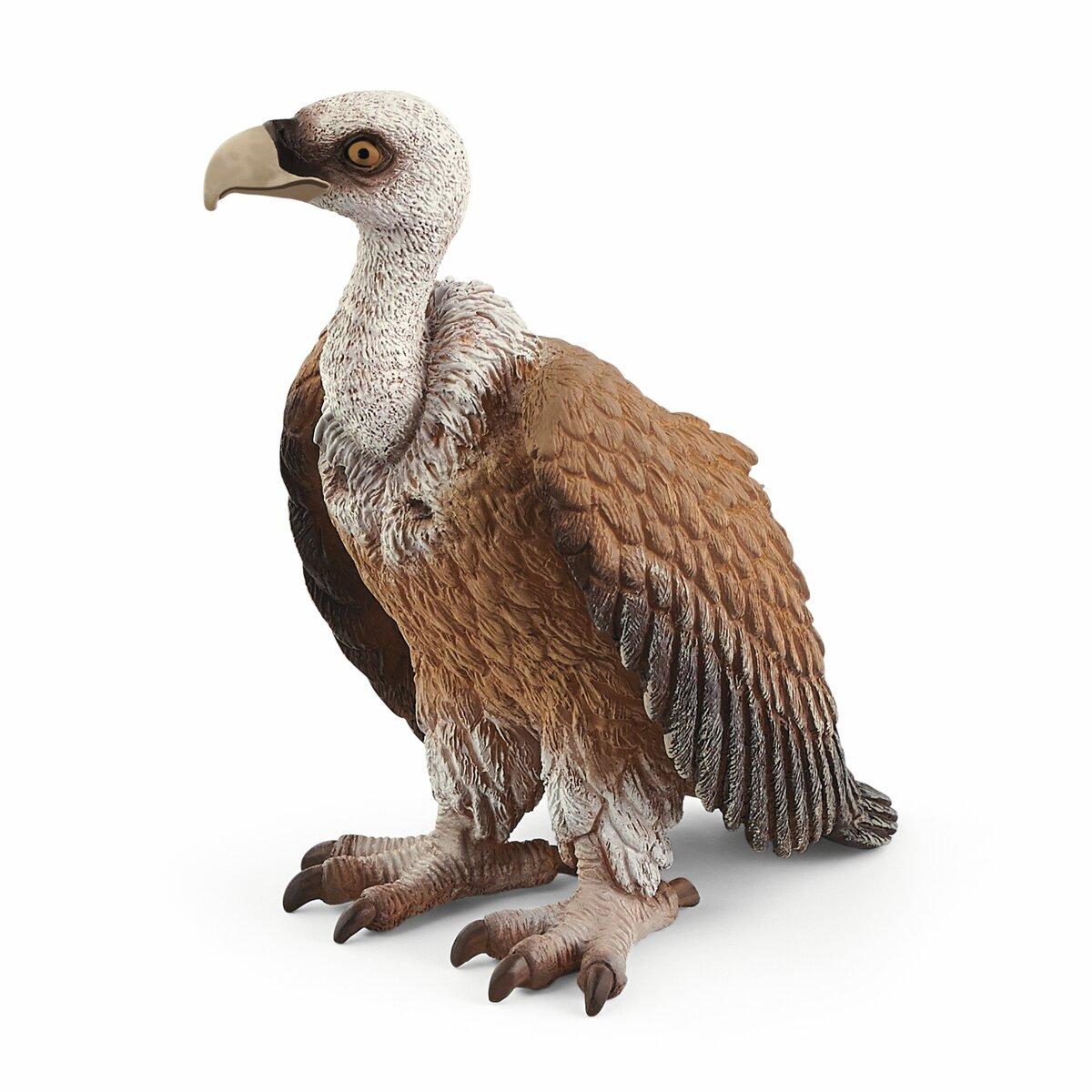 Schleich Wild Life Vulture 14847 - Schleich - Fagan Toys
