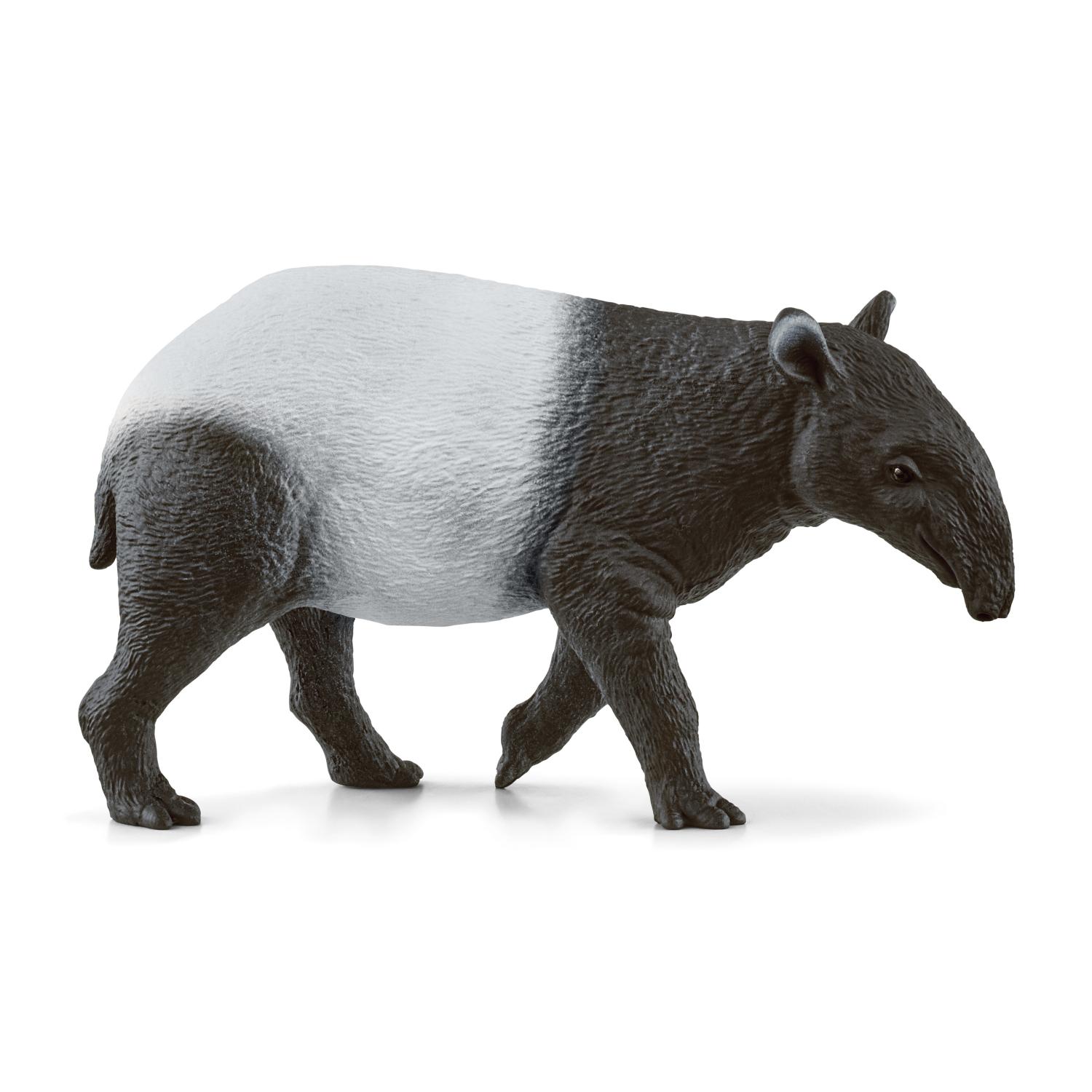 Schleich Wild Life Tapir 14850 - Schleich - Fagan Toys