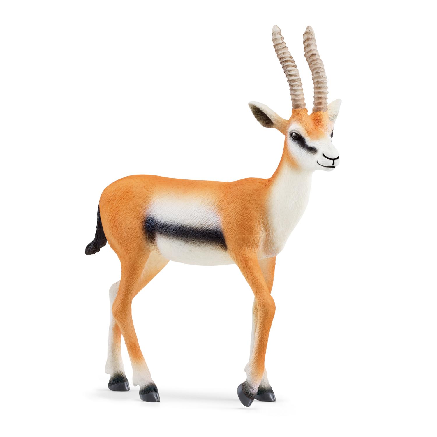 Schleich Wild Life Gazelle 14861 - Schleich - Fagan Toys