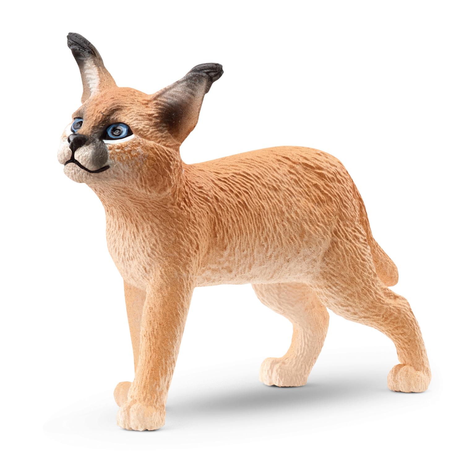 Schleich Wild Life Caracal Cub 14868 - Schleich - Fagan Toys