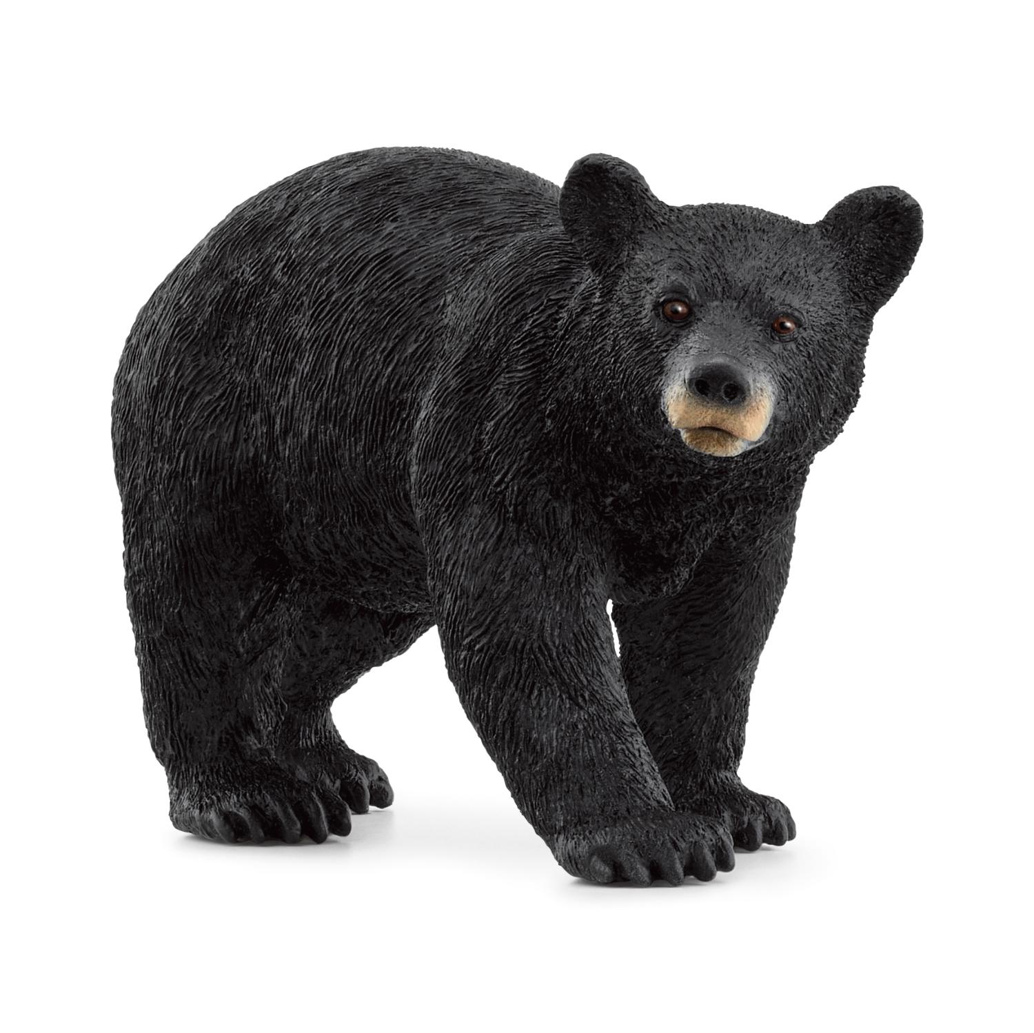 Schleich Wild Life American Black Bear 14869 - Schleich - Fagan Toys