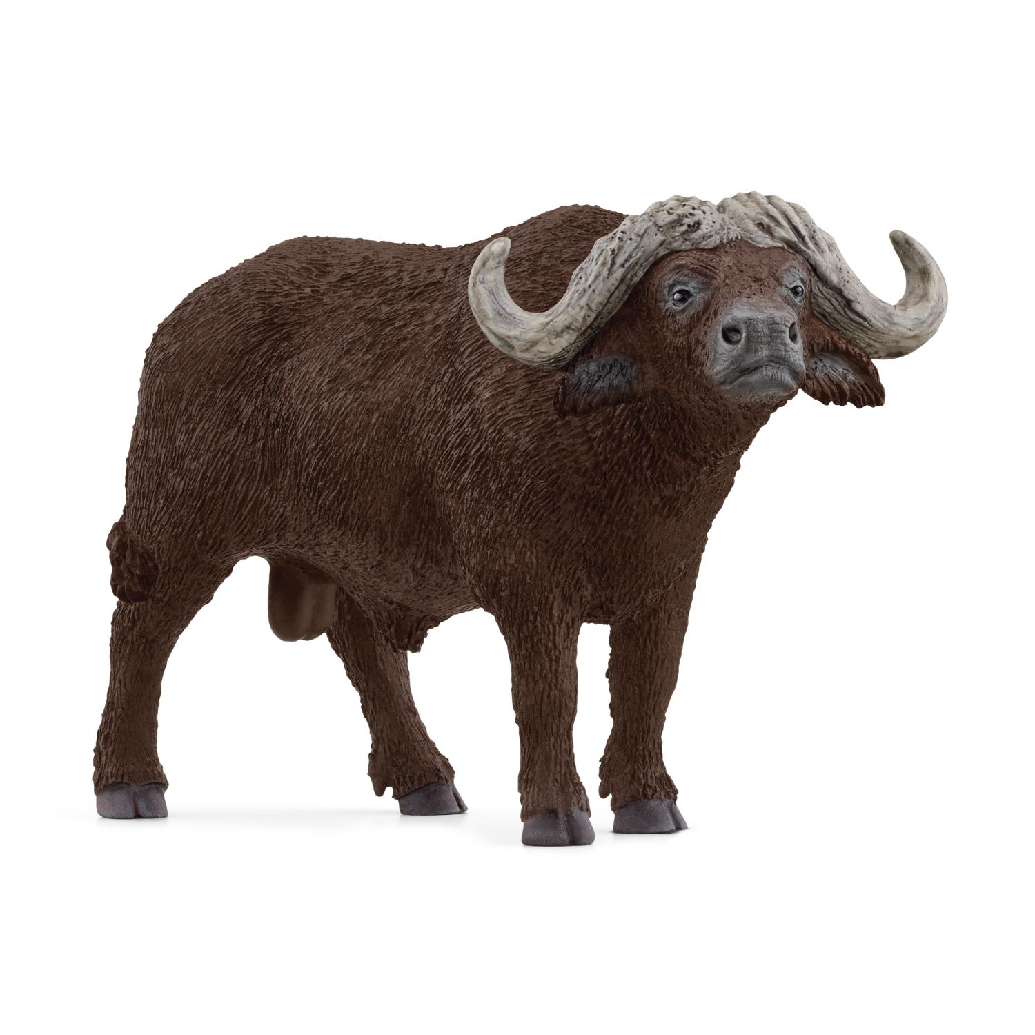 Schleich Wild Life African Buffalo 14872 - Schleich - Fagan Toys