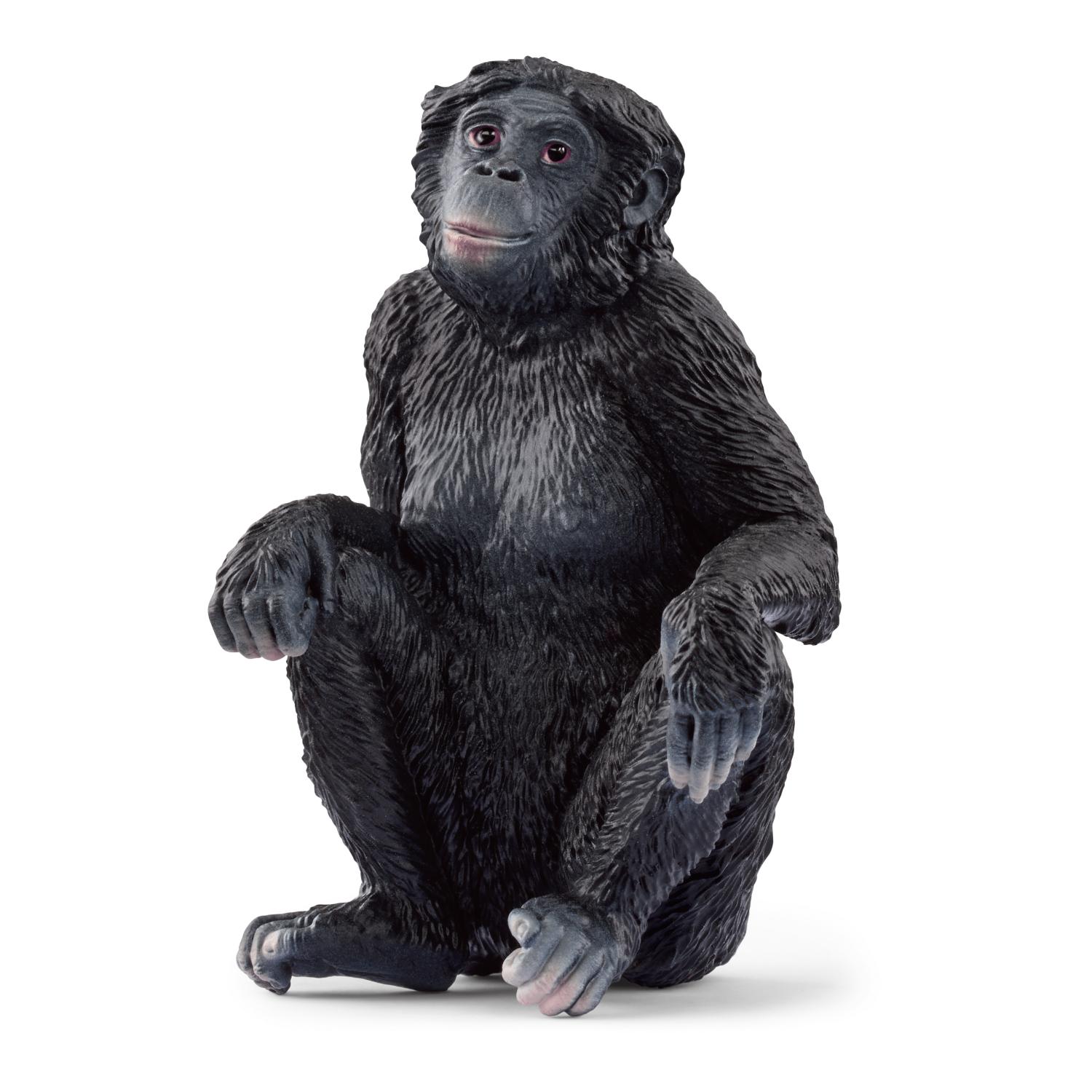 Schleich Wild Life Bonobo Female 14875 - Schleich - Fagan Toys