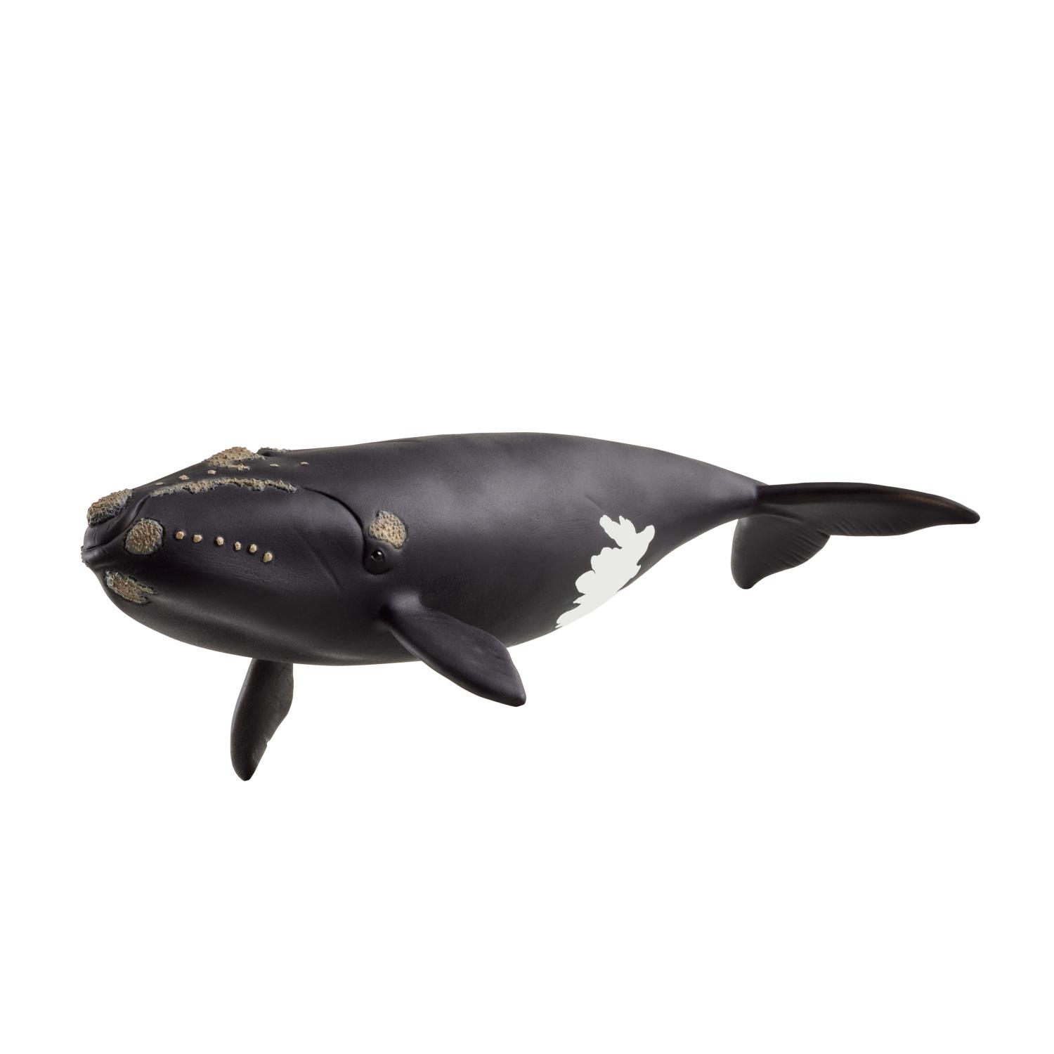 Schleich Wild Life North Atlantic Right Whale 14878 - Schleich - Fagan Toys