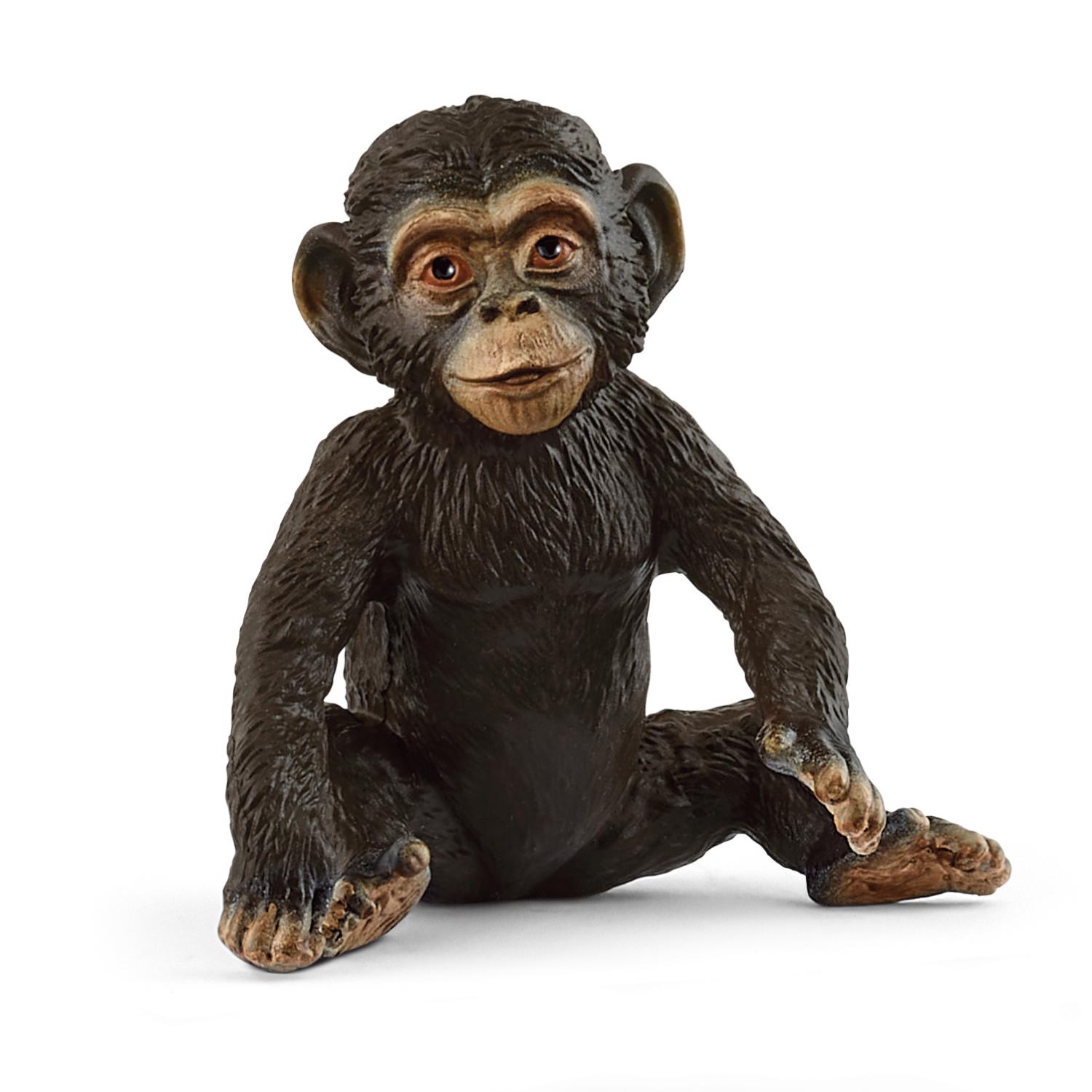 Schleich Wild Life Chimpanzee Cub 14884 - Schleich - Fagan Toys