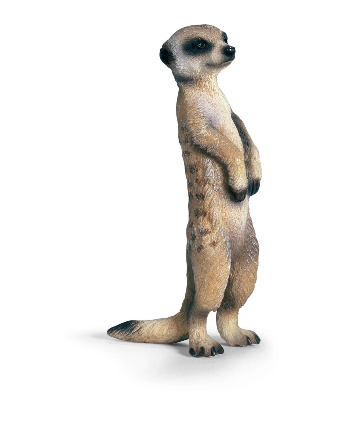Schleich Wild Life Meerkat Standing Toy Figure 14935 - Schleich - Fagan Toys