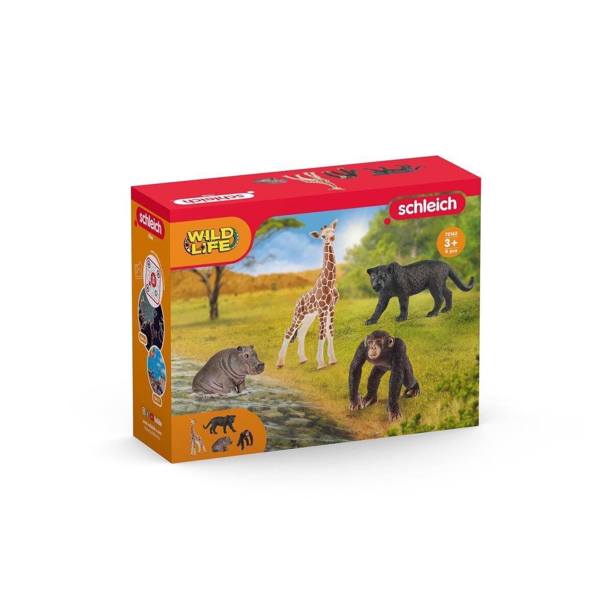Schleich Wild Life Starter Set 72162 - Schleich - Fagan Toys