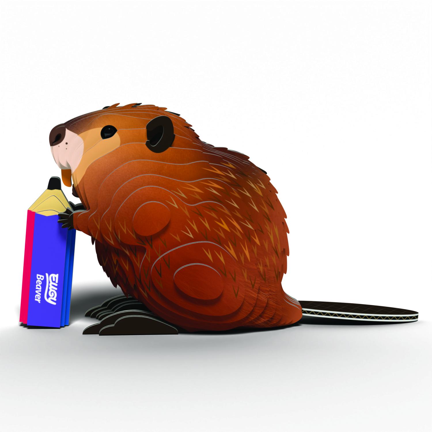 EUGY Beaver 3D Model Kit -  - Fagan Toys