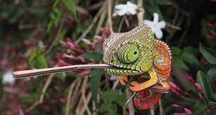 EUGY Chameleon 3D Puzzle - Toymaster - Fagan Toys