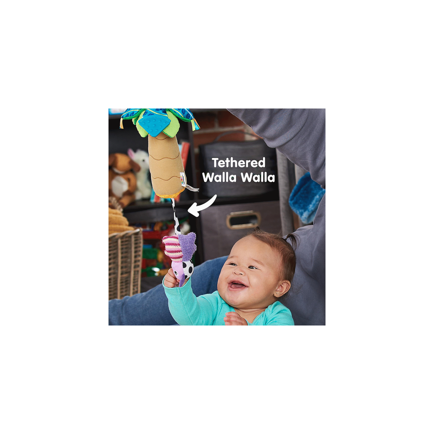 Lamaze Walla Walla Koala Clip n Go - Toymaster - Fagan Toys
