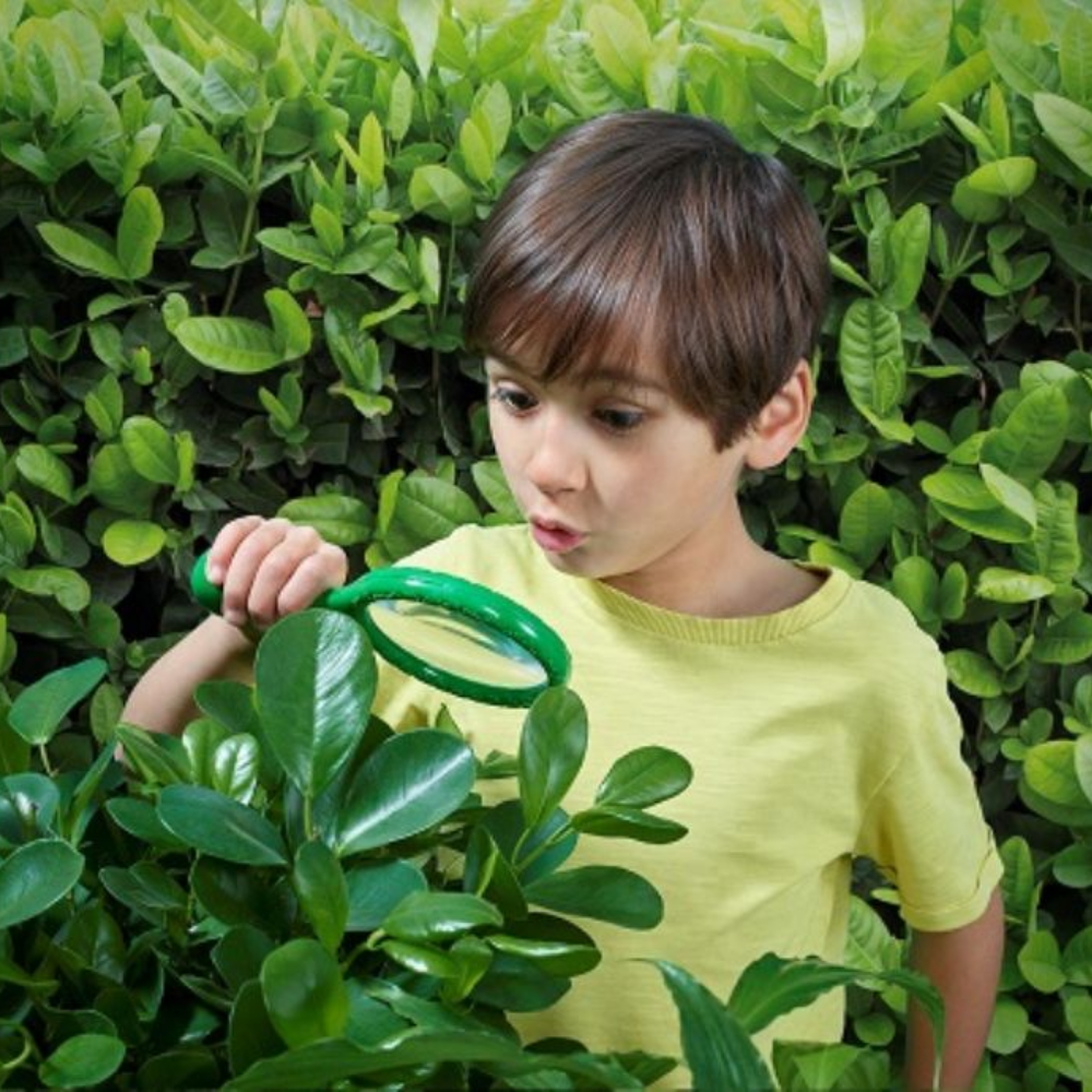 Outdoor Adventure Magnifier -  - Fagan Toys