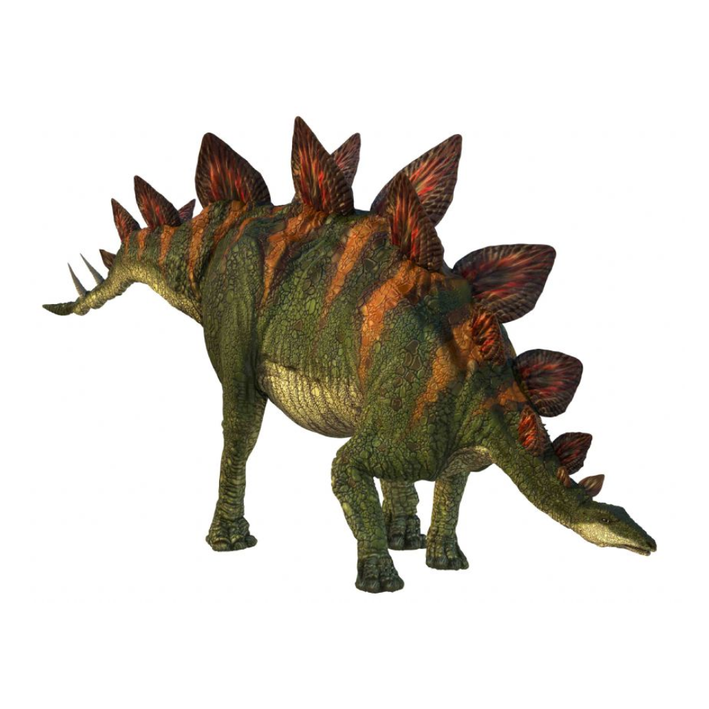 Natural History Museum Dinosaur Torch and Projector - Toymaster - Fagan Toys
