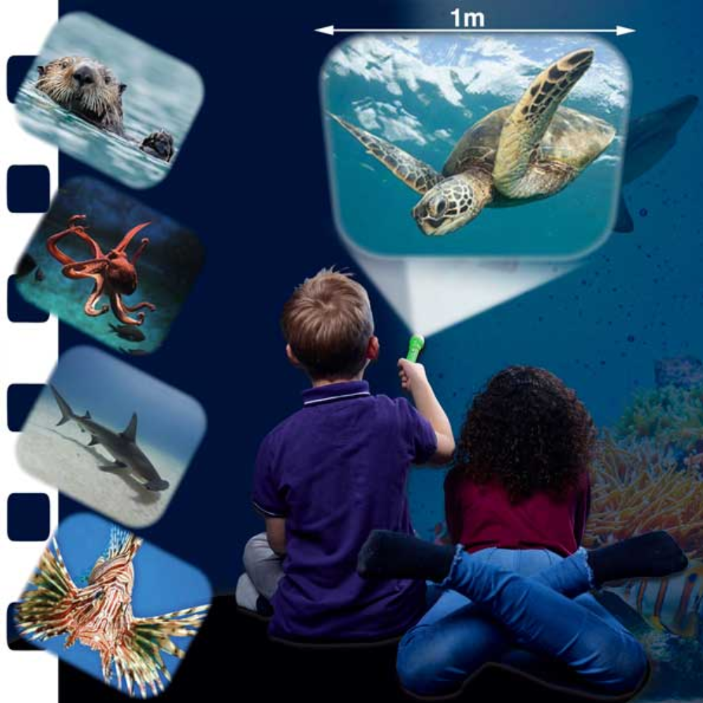 Natural History Museum Sea Creatures Torch and Projector - Toymaster - Fagan Toys