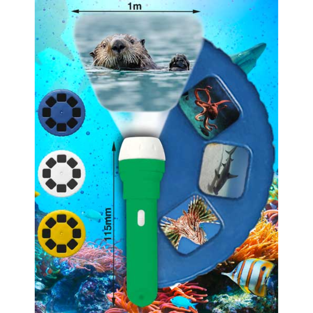 Natural History Museum Sea Creatures Torch and Projector - Toymaster - Fagan Toys