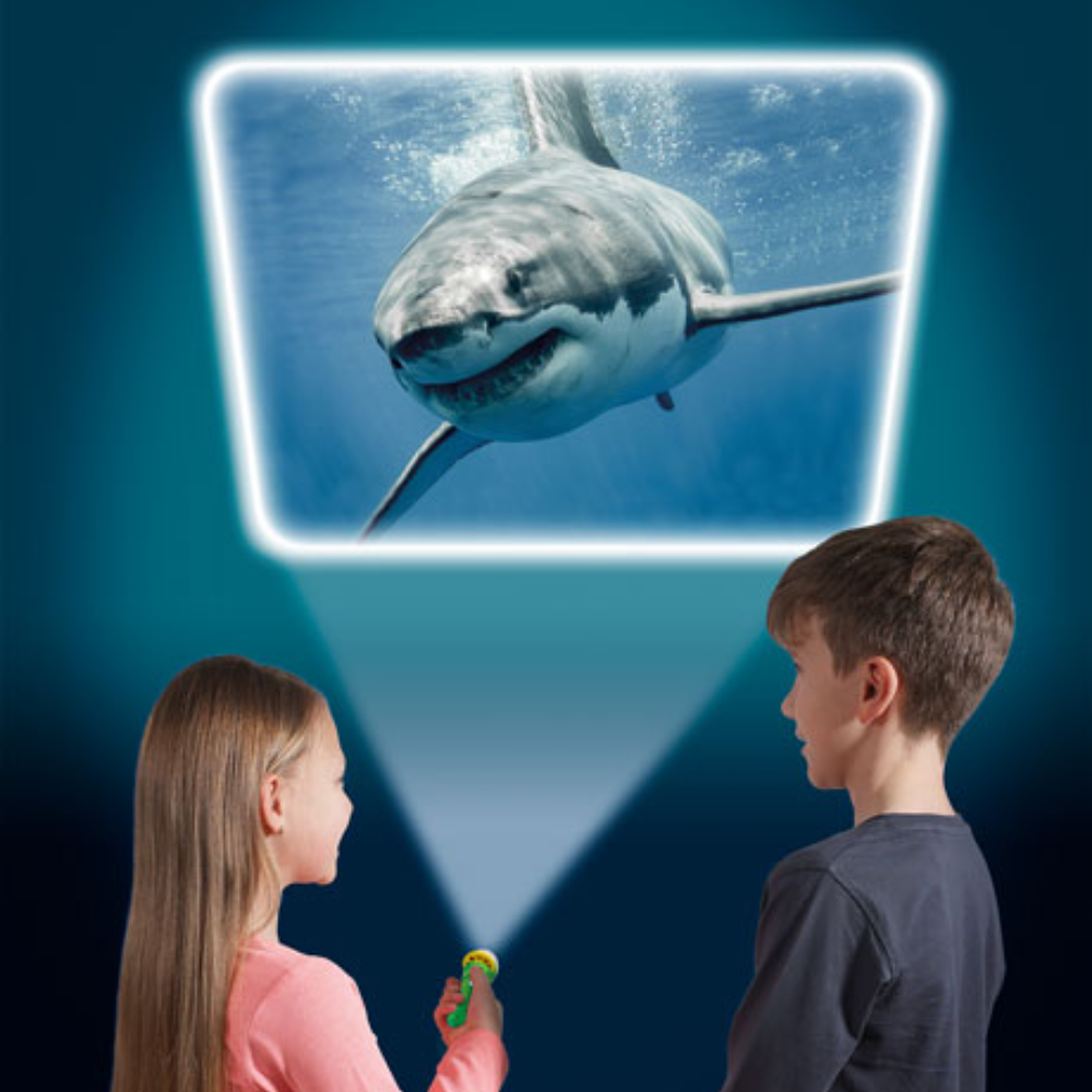 Natural History Museum Sea Creatures Torch and Projector - Toymaster - Fagan Toys