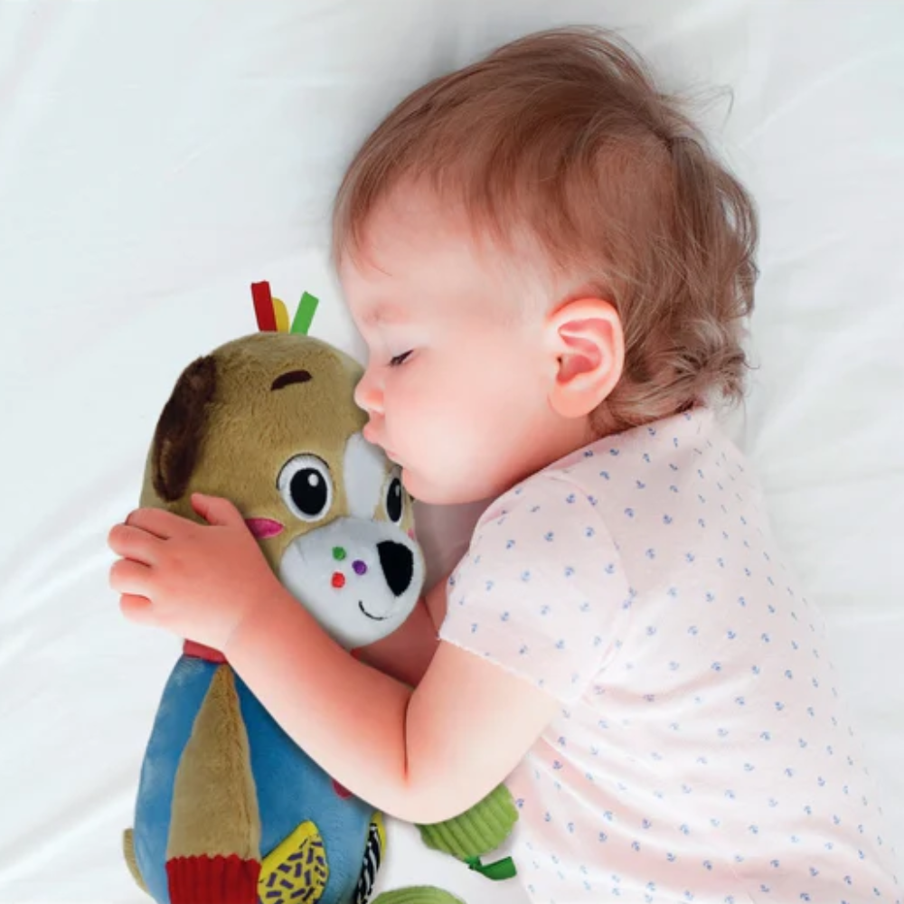 Clementoni Baby Pete The Puppy Gift Box - Toymaster - Fagan Toys