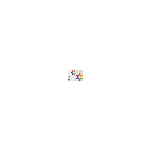 60312904