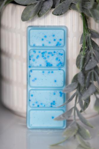Wax Melts Flashy Bathroom
