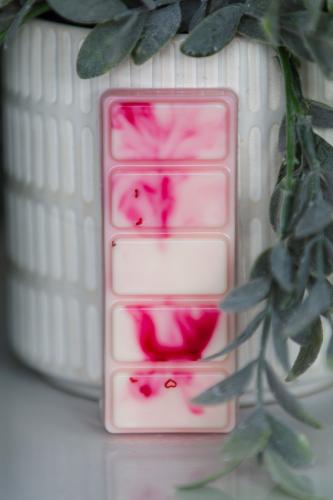 Wax Melts Love Bug