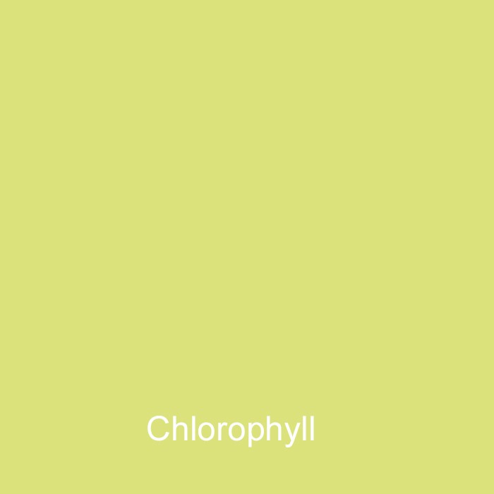 Chlorophyll Colour Sample